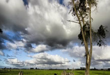 凯昂近期表现出色，下轮客场或继续向前