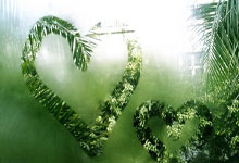 掘金逆转奇才，约基奇刷下关键进球