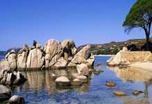 掘金逆转奇才，约基奇刷下关键进球