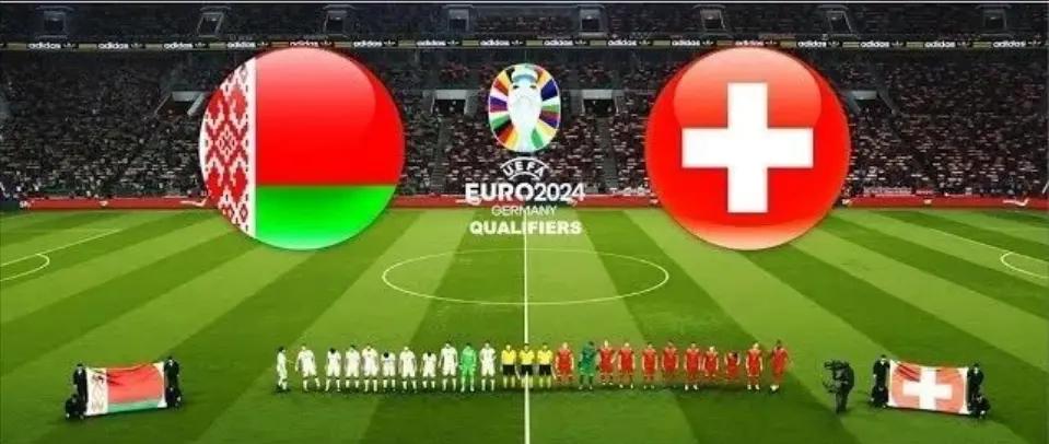 九游体育app-瑞士队在激烈对决中获胜,晋级欧洲杯预选赛